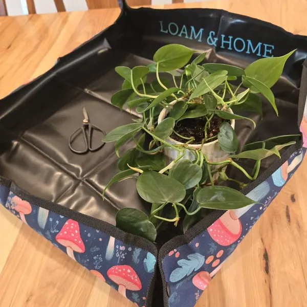 Customer photo from Rebecca H.'s review